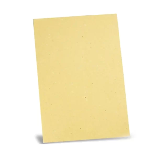 C/B Files(100 Pack)
